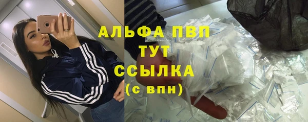 молекула духа Алексеевка