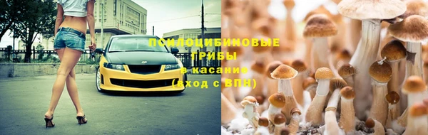Альфа ПВП Алексин