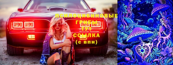 тгк Алзамай