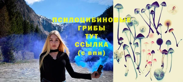 Альфа ПВП Алексин
