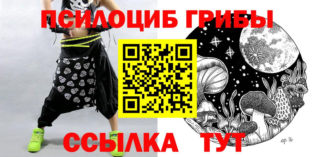Псилоцибиновые грибы Cubensis Карачаевск