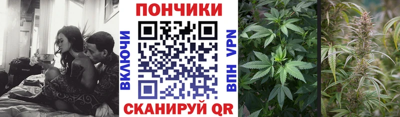 купить закладку  Карачаевск  Марихуана семена 